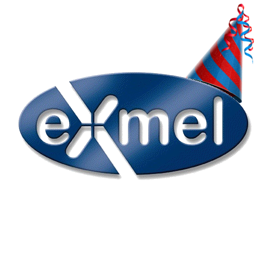 Exmel Solutions Limited turns 12 years old